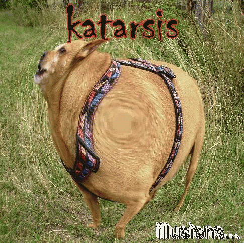 Katarsis (FRA) : Illusions...